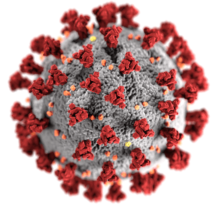 COVID-19 Virus Pandemic Measures